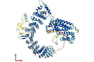 Protein Structure (PS) image for Integrator Complex Subunit 4 (INTS4) (AA 1-964) protein (His tag) (ABIN7564596)