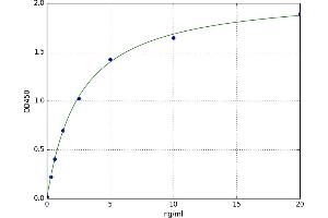 Integrin Alpha2b (CD41) ELISA Kit