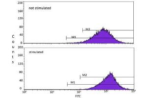 Flow Cytometry (FACS) image for anti-Ataxia Telangiectasia Mutated (ATM) (AA 1974-1988), (pSer1981) antibody (ABIN6656104)