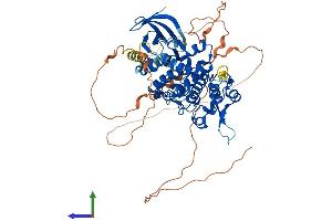 AlphaFold protein structure predicition of Human Recombinant HIPK4 Protein, UniprotID Q8NE63 (HIPK4 Protein (AA 1-616) (His tag))