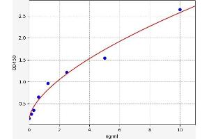 F13A1 ELISA Kit