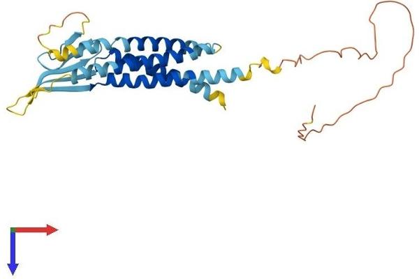 CACNG7 Protein (AA 1-275) (His tag)