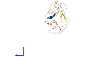 Protein Structure (PS) image for Brain-Enriched Guanylate Kinase-Associated (BEGAIN) (AA 1-593) protein (His tag) (ABIN7552613)