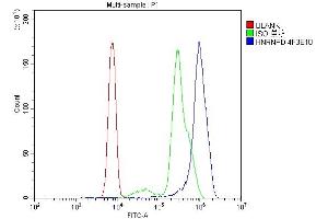 Flow Cytometry analysis of U937 cells using anti- hnRNP D/AUF1/HNRNPD antibody (ABIN7602592). (HNRNPD/AUF1 Antikörper  (AA 88-246))