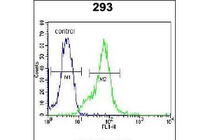 Flow cytometric analysis of 293 cells (right histogram) compared to a negative control cell (left histogram). (LGALS9B Antikörper  (AA 160-188))