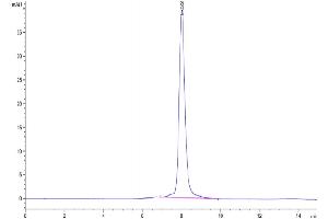 Size-exclusion chromatography-High Pressure Liquid Chromatography (SEC-HPLC) image for Receptor Tyrosine Kinase-Like Orphan Receptor 1 (ROR1) (AA 30-406) protein (His tag) (ABIN7275536)