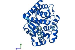 Protein Structure (PS) image for Dehydrogenase/reductase (SDR Family) Member 12 (DHRS12) (AA 1-317) protein (His tag) (ABIN7547114)