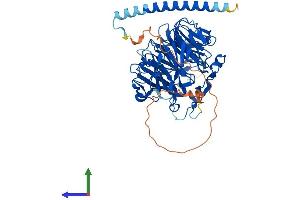 Protein Structure (PS) image for Coronin, Actin Binding Protein, 2A (CORO2A) (AA 1-525) protein (His tag) (ABIN7546630)