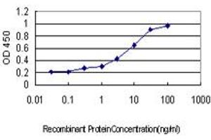 Detection limit for recombinant GST tagged PDCD7 is approximately 0. (PDCD7 Antikörper  (AA 47-146))