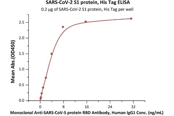 SARS-CoV-2 Spike S1 Protein (His tag)