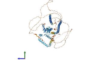 Protein Structure (PS) image for DAZ Interacting Protein 1 (DZIP1) (AA 1-867) protein (His tag) (ABIN7553728)