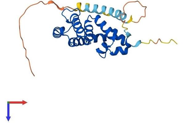 RGS2 Protein (AA 1-211) (His tag)