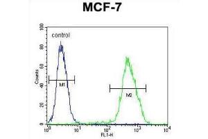 Flow Cytometry (FACS) image for anti-LIM Domain Only 4 (LMO4) antibody (ABIN2995822) (LMO4 Antikörper)