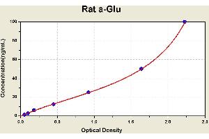 Diagramm of the ELISA kit to detect Rat a-Gluwith the optical density on the x-axis and the concentration on the y-axis.