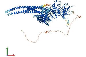 AlphaFold protein structure predicition of Human Recombinant STAT5A Protein, UniprotID P42229