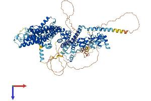 TRPC4 Protein (AA 1-974) (His tag)