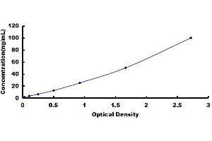 gamma Glutamyltransferase 1 (GGT1) ELISA Kit