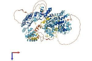 CIITA Protein (AA 1-1155) (His tag)