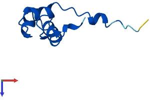 POLR2L Protein (AA 1-67) (Fc Tag)