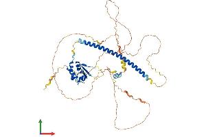 Protein Structure (PS) image for Heat Shock Transcription Factor 4 (HSF4) (AA 1-492) protein (His tag) (ABIN7556187)