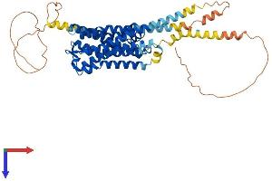 HTR2A Protein (AA 1-471) (His tag)