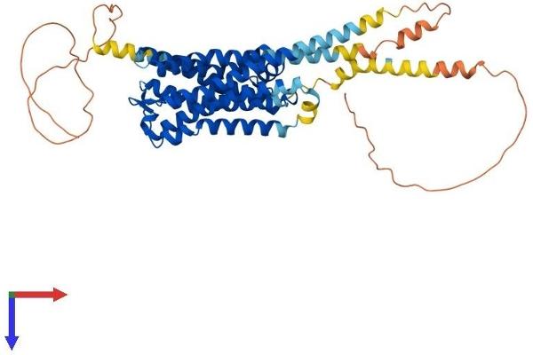 HTR2A Protein (AA 1-471) (His tag)