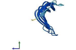 AlphaFold protein structure predicition of Human Recombinant MORN2 Protein, UniprotID Q502X0 (MORN2 Protein (AA 1-79) (Fc Tag))