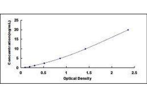 ELISA image for Leptin (LEP) ELISA Kit (ABIN414221)