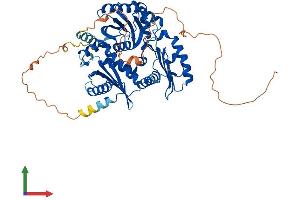 Protein Structure (PS) image for MON1 Homolog A (MON1A) (AA 1-556) protein (His tag) (ABIN7558047)