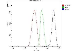 Flow Cytometry analysis of HepG2 cells using anti-PFAS antibody (ABIN7601361). (PFAS Antikörper  (AA 330-569))