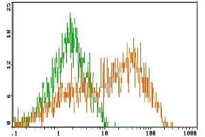 Flow Cytometry (FACS) image for anti-Killer Cell Lectin-Like Receptor Subfamily D, Member 1 (KLRD1) antibody (FITC) (ABIN951437)