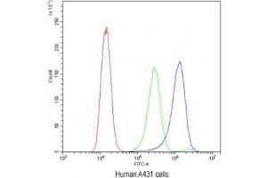 Flow cytometry testing of human A431 cells with ATG14L antibody at 1ug/10^6 cells (blocked with goat sera) (ATG14 Antikörper)