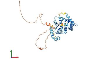 AlphaFold protein structure predicition of Mouse Recombinant Kcnip2 Protein, UniprotID Q9JJ69