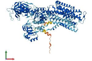 Protein Structure (PS) image for ATPase, Na+/K+ Transporting, alpha 3 Polypeptide (ATP1A3) (AA 1-1013) protein (His tag) (ABIN7552455)
