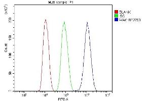 Flow Cytometry analysis of HepG2 cells using anti-WAC antibody (ABIN7601789). (WAC Antikörper  (AA 459-647))