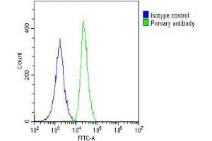 Overlay histogram showing A549 cells stained with (ABIN653155 and ABIN2842723) (green line). (ANGPTL4 Antikörper  (AA 138-167))