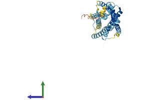 AlphaFold protein structure predicition of Mouse Recombinant Cxcr2 Protein, UniprotID P35343
