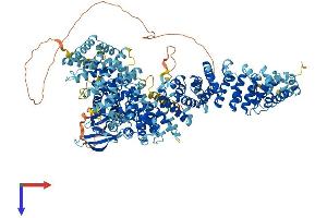 STK36 Protein (AA 1-1315) (His tag)