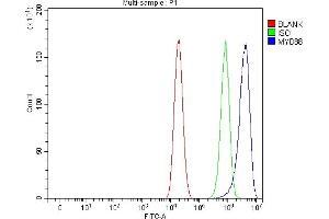 Flow Cytometry analysis of Caco-2 cells using anti-MYD88 antibody (ABIN7602189). (MYD88 Antikörper  (AA 62-296))