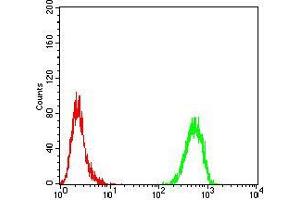 Flow cytometric analysis of MCF-7 cells using TH mouse mAb (green) and negative control (red). (TH Antikörper  (AA 44-208))