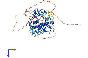 PRKAG3 Protein (AA 1-489) (His tag)