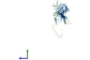 Protein Structure (PS) image for Septin 14 (SEPT14) (AA 1-430) protein (His tag) (ABIN7561213)