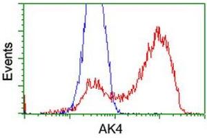HEK293T cells transfected with either RC220572 overexpress plasmid (Red) or empty vector control plasmid (Blue) were immunostained by anti-AK4 antibody (ABIN2454577), and then analyzed by flow cytometry. (AK4 Antikörper)