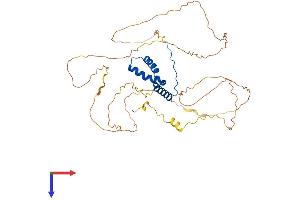 SOX11 Protein (AA 1-441) (His tag)