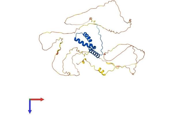 SOX11 Protein (AA 1-441) (His tag)