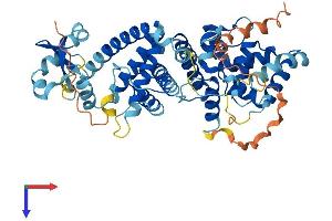 PRIM2 Protein (AA 1-509) (His tag)