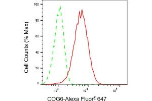 Flow cytometric analysis of COG6 expression in HepG2 cells using COG6 antibody (ABIN7798145), 1:1,000). (Rekombinanter COG6 Antikörper)