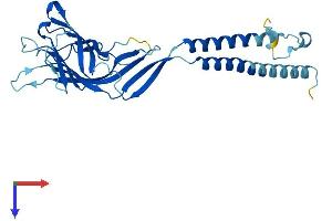 ERGIC1 Protein (AA 1-290) (His tag)
