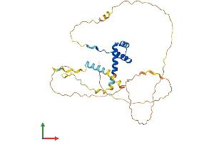 Protein Structure (PS) image for NK2 Homeobox 5 (NKX2-5) (AA 1-318) protein (His tag) (ABIN7563247)