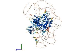 Protein Structure (PS) image for REV1, Polymerase (DNA Directed) (REV1) (AA 1-1249) protein (His tag) (ABIN7564842)